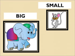 The adjectives | PPT