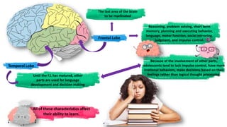 The Adolescent Brain - Visual Learners | PPTX