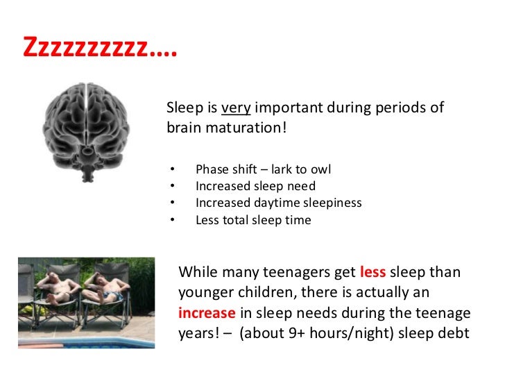 For Teenage Brains Importance Of >> The Adolescent Brain Some Implication For Educators C For Teenage Brains Importance Of >> The Adolescent Brain Some Implication For Educators C