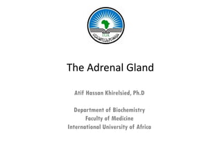 The Adrenal Gland

  Atif Hassan Khirelsied, Ph.D
                        ,

   Department of Biochemistry
       Faculty of Medicine
International University of Africa
 