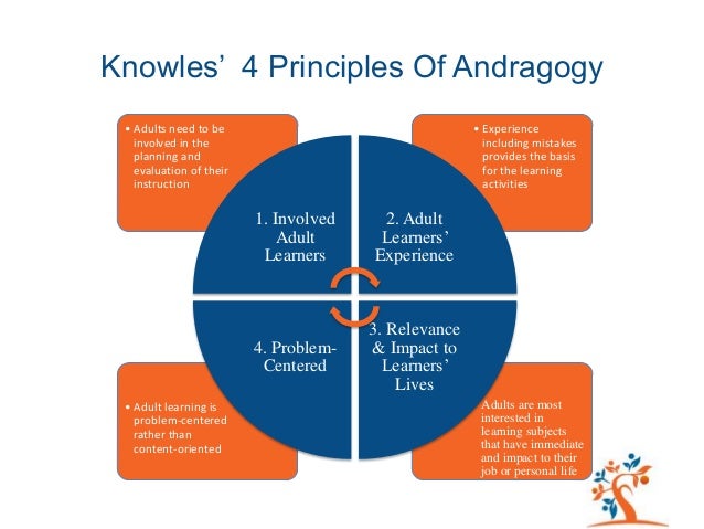 Knowles Adult Learning Theory 79