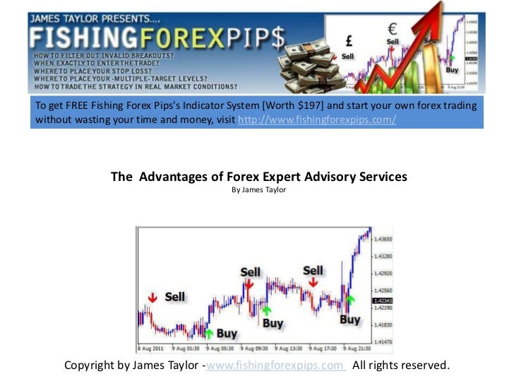 Forex advisory services