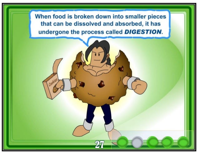 The Adventure Of Mr Cookie The Adventure Of Mr Cookie