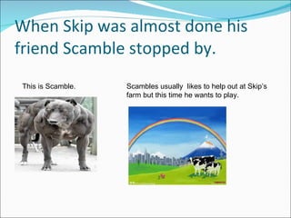 When Skip was almost done his friend Scamble stopped by. This is Scamble. Scambles usually  likes to help out at Skip’s farm but this time he wants to play. 