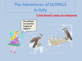 The Adventures of ECOPALS
in Italy
In Italy Bonelli’s eagles are endangered.
Oh no!There
are only few
couples of
eagles!!!

 