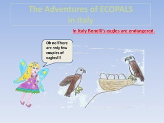 The Adventures of ECOPALS
in Italy
In Italy Bonelli’s eagles are endangered.
Oh no!There
are only few
couples of
eagles!!!

 