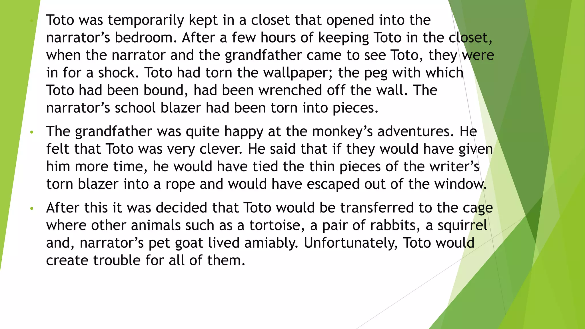 The adventures of the toto | PPTX