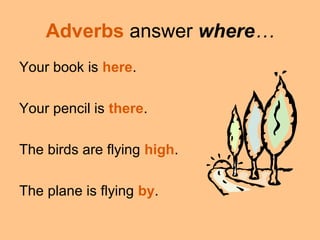 Adverbs answer where…
Your book is here.
Your pencil is there.
The birds are flying high.
The plane is flying by.
 