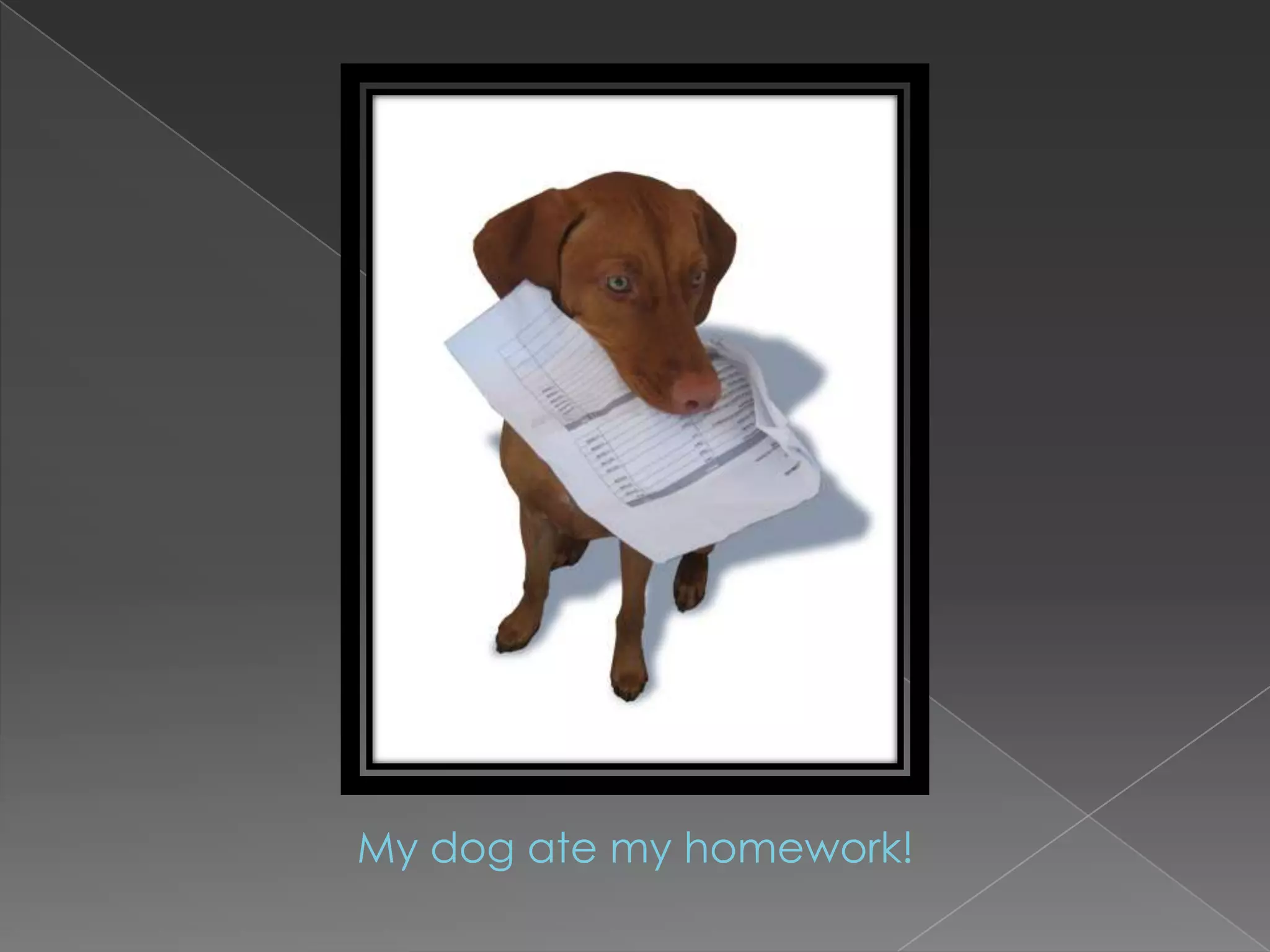 My dog ate my homework!