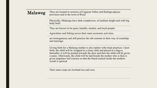 Malaweg They are located in sections of Cagayan Valley and Kalinga-apayao
provinces and in the town of Rizal.
Physically, Malauegs have dark complexion, of medium height and with big
body built.
They are known to be quiet, humble, modest, and loyal people.
Agriculture and fishing serves their main economic activities.
are monogamous and still practice the old customs in their way of courtship
and marriage.
Giving birth for a Malaueg mother is also replete with ritual practices. Upon
birth, the child will be wrapped in a clean cloth and placed in a biga-o,
thereafter, it will be pushed towards the door and then the child will be given
a name. Afterwards, the child will be laid beside the mother who is then is
given ampalaya leaf extracts so that the blood sucked inside the mothers
womb is spewed.
Their main crops are lowland rice and corn.
 