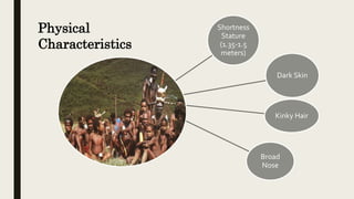 Shortness
Stature
(1.35-1.5
meters)
Dark Skin
Kinky Hair
Broad
Nose
Physical
Characteristics
 