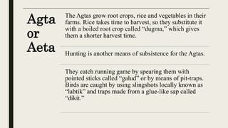 Agta
or
Aeta
The Agtas grow root crops, rice and vegetables in their
farms. Rice takes time to harvest, so they substitute it
with a boiled root crop called “dugma,” which gives
them a shorter harvest time.
Hunting is another means of subsistence for the Agtas.
They catch running game by spearing them with
pointed sticks called “galud” or by means of pit-traps.
Birds are caught by using slingshots locally known as
“labtik” and traps made from a glue-like sap called
“dikit.”
 