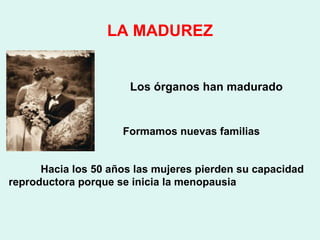 LA MADUREZ


                       Los órganos han madurado


                     Formamos nuevas familias


      Hacia los 50 años las mujeres pierden su capacidad
reproductora porque se inicia la menopausia
 