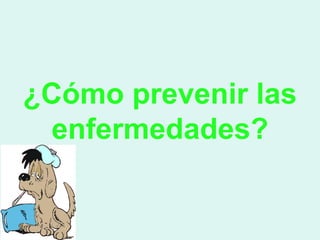 ¿Cómo prevenir las
  enfermedades?
 