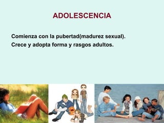 ADOLESCENCIA

Comienza con la pubertad(madurez sexual).
Crece y adopta forma y rasgos adultos.
 