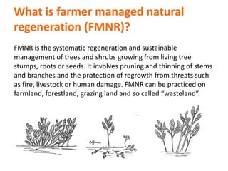 A unique partnership and systemic approach to food insecurity and climate change in Africa 