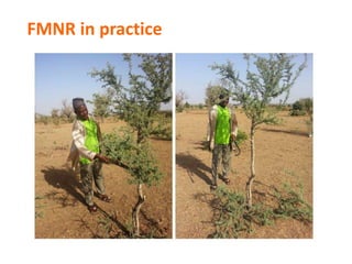 A unique partnership and systemic approach to food insecurity and climate change in Africa 