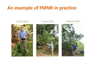 A unique partnership and systemic approach to food insecurity and climate change in Africa 