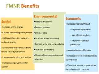 A unique partnership and systemic approach to food insecurity and climate change in Africa 