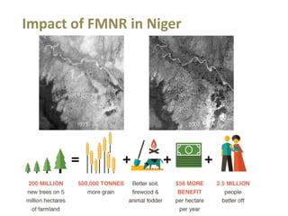 A unique partnership and systemic approach to food insecurity and climate change in Africa 