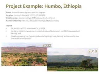 A unique partnership and systemic approach to food insecurity and climate change in Africa 