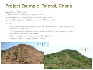 A unique partnership and systemic approach to food insecurity and climate change in Africa 