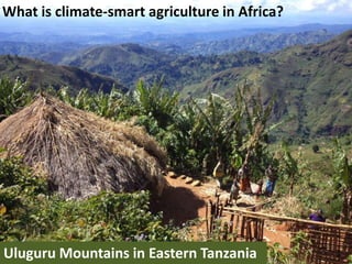 A unique partnership and systemic approach to food insecurity and climate change in Africa 