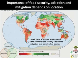 A unique partnership and systemic approach to food insecurity and climate change in Africa 