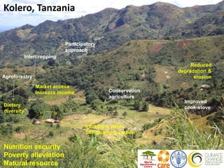 A unique partnership and systemic approach to food insecurity and climate change in Africa 