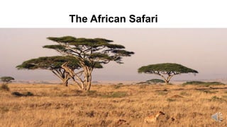 The African Safari
 
