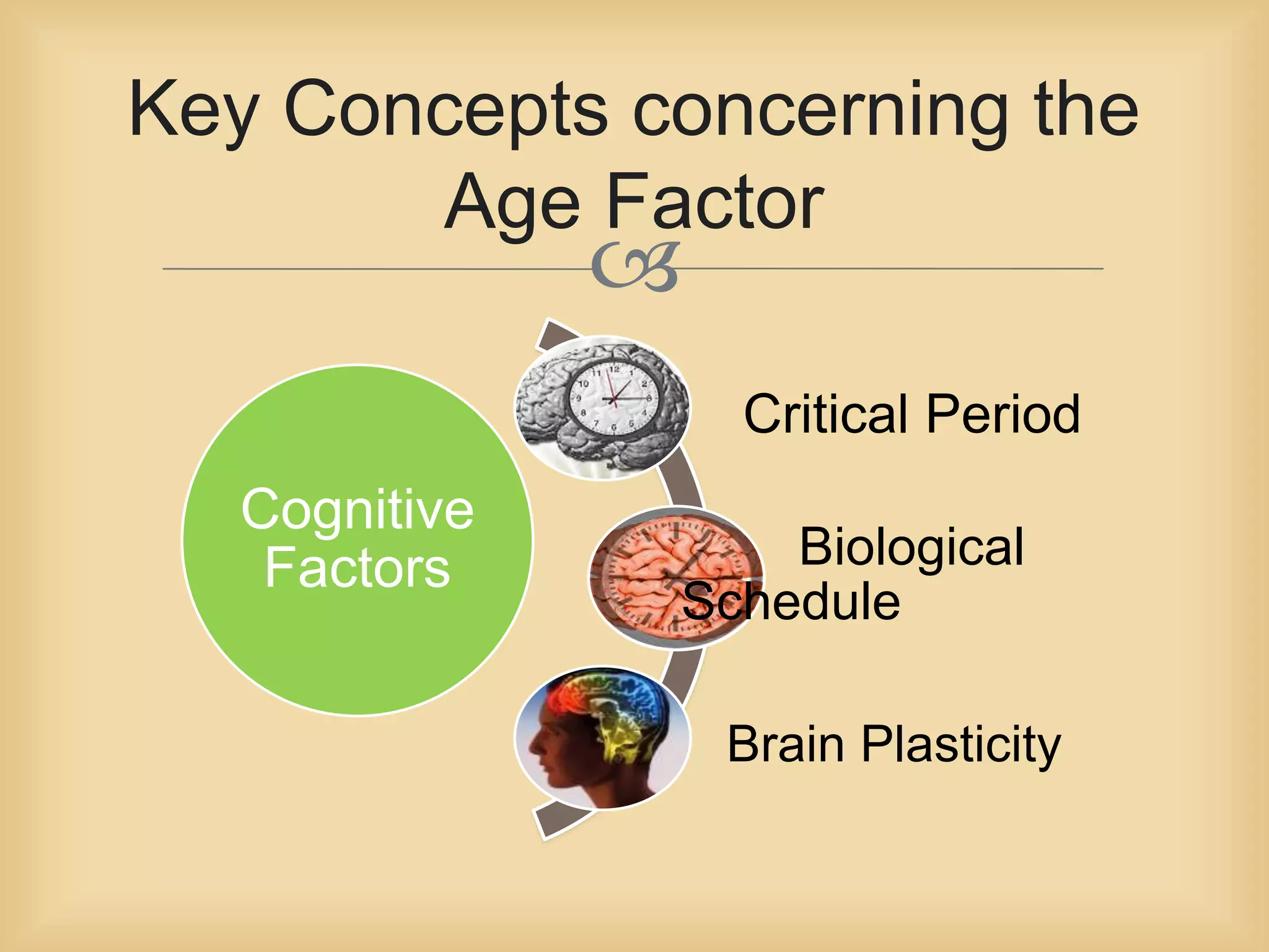 Key Concepts concerning the 
Age Factor 
 
Cognitive 
Factors 
Critical Period 
Biological 
Schedule 
Brain Plasticity 
 