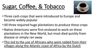 Sugar, Coffee, & Tobacco
•Three cash crops that were introduced to Europe and
became widely popular
•All three required huge plantations to produce these crops
•Native Americans were first enslaved to work on these
plantations in the New World, but most died quickly from
disease or simply ran away
•This led to the use of Africans who were raided from their
villages along the Atlantic coast of Africa by the Dutch
 
