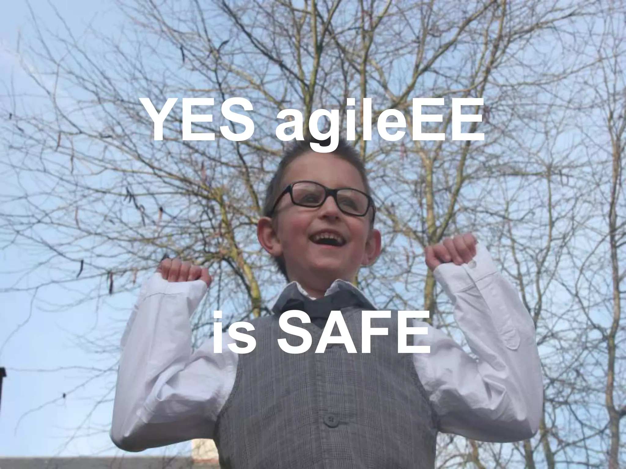 YES agileEE
is SAFE
 
