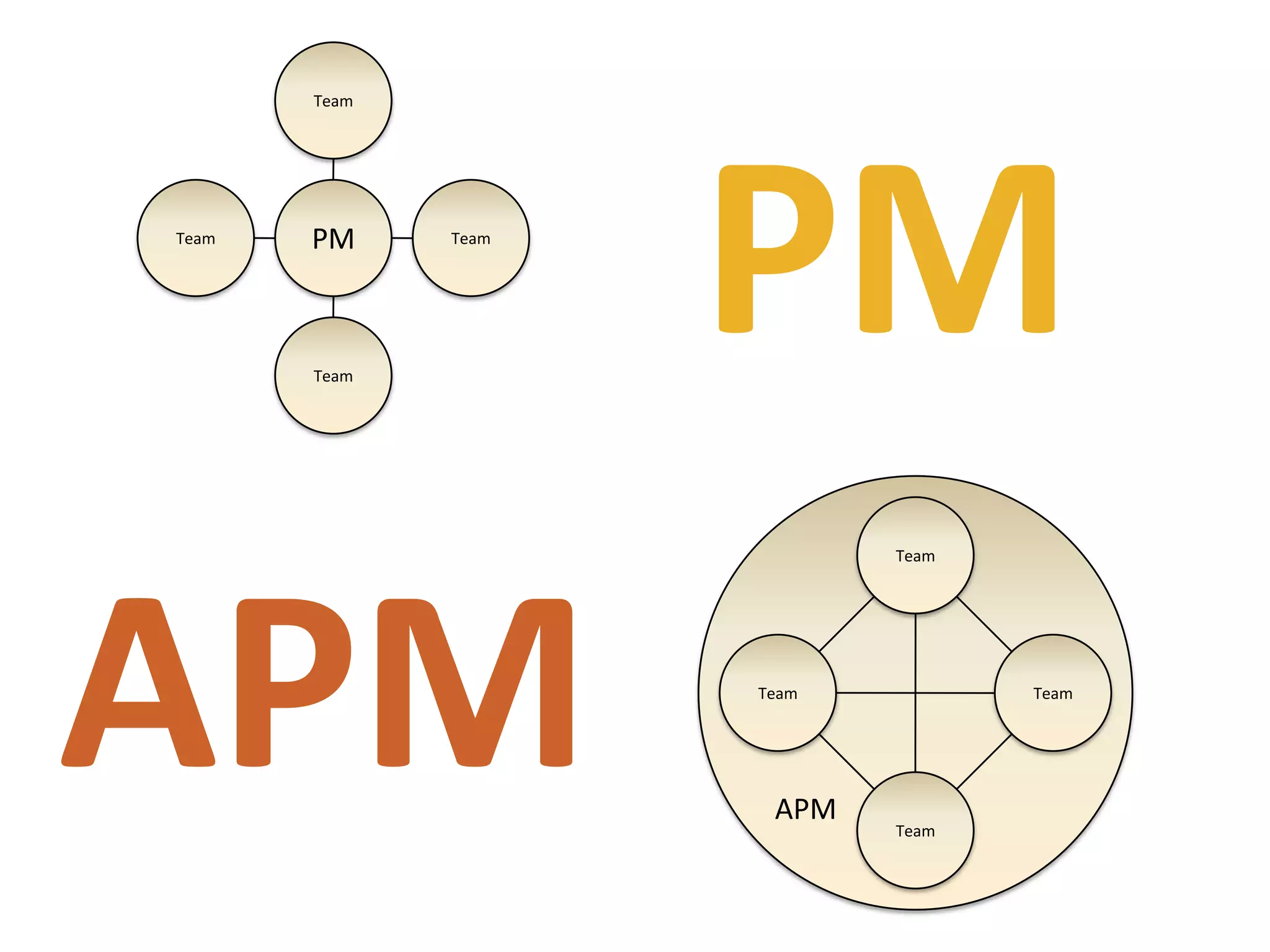 The Agile PMP v2