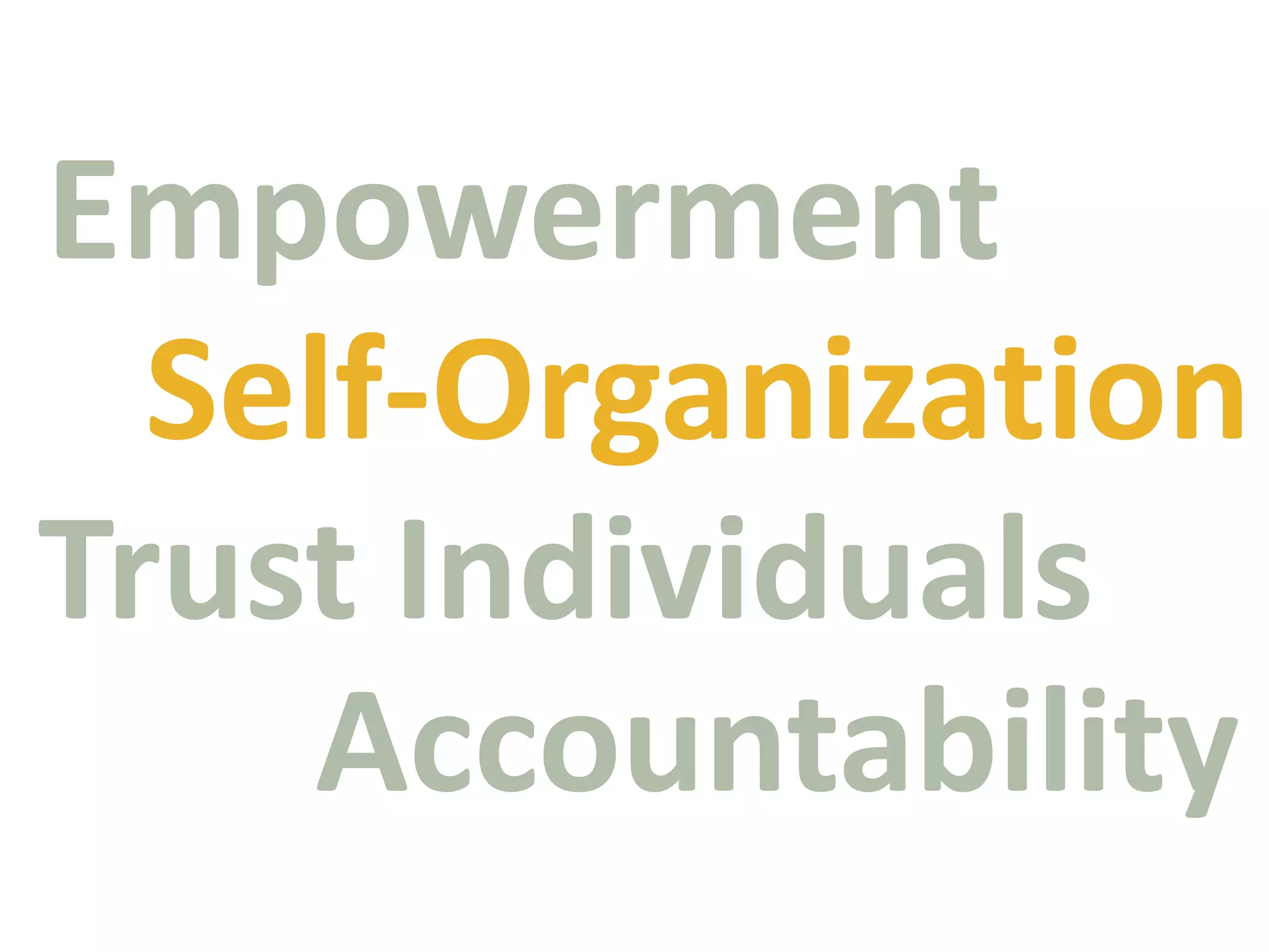EmpowermentSelf-OrganizationTrust IndividualsAccountability