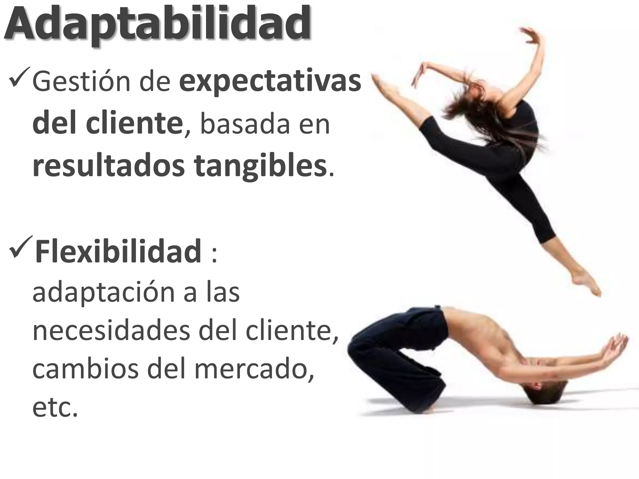 Adaptabilidad
Gestión de expectativas
 del cliente, basada en
 resultados tangibles.

Flexibilidad :
 adaptación a las
 necesidades del cliente,
 cambios del mercado,
 etc.
 