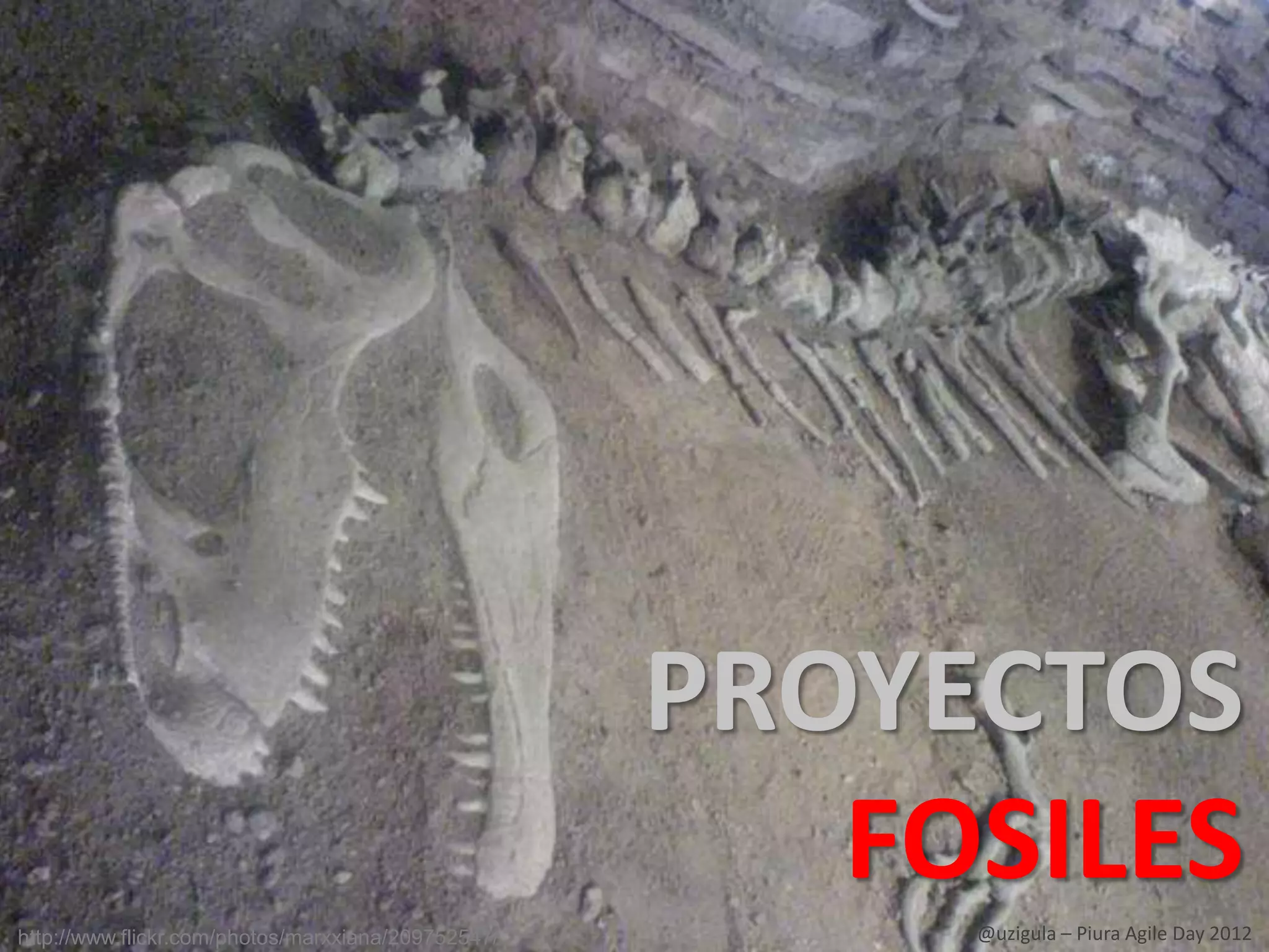 PROYECTOS
                                                       FOSILES
http://www.flickr.com/photos/marxxiana/209752547/        @uzigula – Piura Agile Day 2012
 