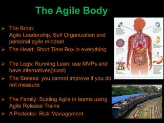 The Agile Body
 The Brain:
  Agile Leadership, Self Organization and
  personal agile mindset
 The Heart: Short Time Box in everything

 The Legs: Running Lean, use MVPs and
  have alternatives(pivot)
 The Senses: you cannot improve if you do
  not measure

 The Family: Scaling Agile in teams using
  Agile Release Trains
 A Protector: Risk Management
 