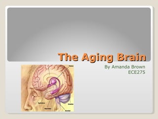 The Aging Brain By Amanda Brown ECE275 