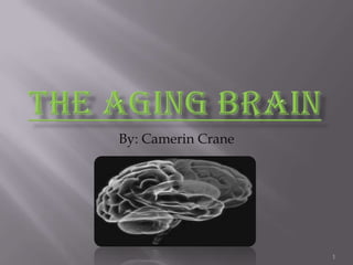 The Aging Brain By: Camerin Crane 1 
