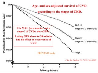 Age- and sex-adjusted survival of CVD 
according to the stages of CKD. 
J Am Soc Nephrol 18: 1959–1965, 2007 
It is MAU (as a marker not a 
cause ! of CVD) not eGFR.. 
Losing GFR down to 30 ml/min 
had no effect on occurrence of 
PREVEND study 
CVD 
 