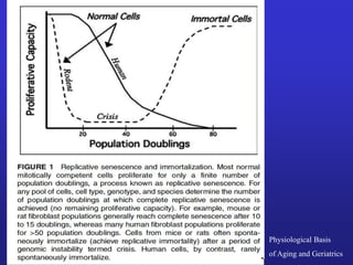 Physiological Basis 
of Aging and Geriatrics 
 