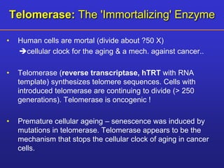 Telomerase: The 'Immortalizing' Enzyme 
• Human cells are mortal (divide about ?50 X) 
cellular clock for the aging & a mech. against cancer.. 
• Telomerase (reverse transcriptase, hTRT with RNA 
template) synthesizes telomere sequences. Cells with 
introduced telomerase are continuing to divide (> 250 
generations). Telomerase is oncogenic ! 
• Premature cellular ageing – senescence was induced by 
mutations in telomerase. Telomerase appears to be the 
mechanism that stops the cellular clock of aging in cancer 
cells. 
 