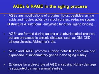 AGEs & RAGE in the aging process 
- AGEs are modifications of proteins, lipids, peptides, amino 
acids and nucleic acids by carbohydrates ⁄ reducing sugars 
structure & functional: enzymatic function, ligand binding.. 
- AGEs are formed during ageing as a physiological process, 
but are enhanced in chronic diseases such as DM, CKD, 
atherosclerosis, Alzheimer’s dis. 
- AGEs and RAGE promote nuclear factor-k B activation and 
expression of inflammatory genes in the aging kidney. 
- Evidence for a direct role of AGE in causing kidney damage 
is supported by many animal studies. 
 