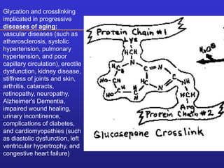 Glycation and crosslinking 
implicated in progressive 
diseases of aging: 
vascular diseases (such as 
atherosclerosis, systolic 
hypertension, pulmonary 
hypertension, and poor 
capillary circulation), erectile 
dysfunction, kidney disease, 
stiffness of joints and skin, 
arthritis, cataracts, 
retinopathy, neuropathy, 
Alzheimer's Dementia, 
impaired wound healing, 
urinary incontinence, 
complications of diabetes, 
and cardiomyopathies (such 
as diastolic dysfunction, left 
ventricular hypertrophy, and 
congestive heart failure) 
 
