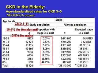 CKD in the Elderly: 
Age-standardized rates for CKD 3–5 
NEOERICA project 
 
