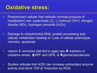 Oxidative stress: 
• Predominant cellular free radicals (normal products of 
metabolism) are: superoxide (O2 
-), hydroxyl (OH-), nitrogen 
dioxide (NO2), hydrogen peroxide (H2O2) 
• Damage to mitochondria DNA, protein processing and 
cellular metabolism leading to: Loss of cellular phenotype, 
necrosis, apoptosis 
• vitamin E–enriched diet fed to aged rats, markers of 
oxidative stress, RPF and GFR, & glomerulosclerosis. 
• Studies indicate that ACEI can increase antioxidant enzyme 
activity and block TGF-β ?induction by ROS. 
 