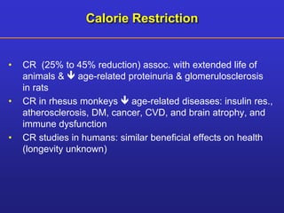Calorie Restriction 
• CR (25% to 45% reduction) assoc. with extended life of 
animals &  age-related proteinuria & glomerulosclerosis 
in rats 
• CR in rhesus monkeys  age-related diseases: insulin res., 
atherosclerosis, DM, cancer, CVD, and brain atrophy, and 
immune dysfunction 
• CR studies in humans: similar beneficial effects on health 
(longevity unknown) 
 