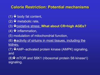 Calorie Restriction: Potential mechanisms 
(1)  body fat content, 
(2)  metabolic rate, 
(3) oxidative stress: What about CR+high AGEs? 
(4)  inflammation, 
(5) modulation of mitochondrial function, 
(6) activity of sirtuins in most tissues, including the 
kidney, 
(7) AMP–activated protein kinase (AMPK) signaling, 
and 
(8) mTOR and S6K1 (ribosomal protein S6 kinase1) 
signaling. 
 
