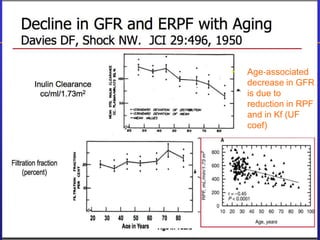 • Age‐associated 
decrease in GFR 
is due to 
reduction in RPF 
and in Kf (UF 
coef) 
 